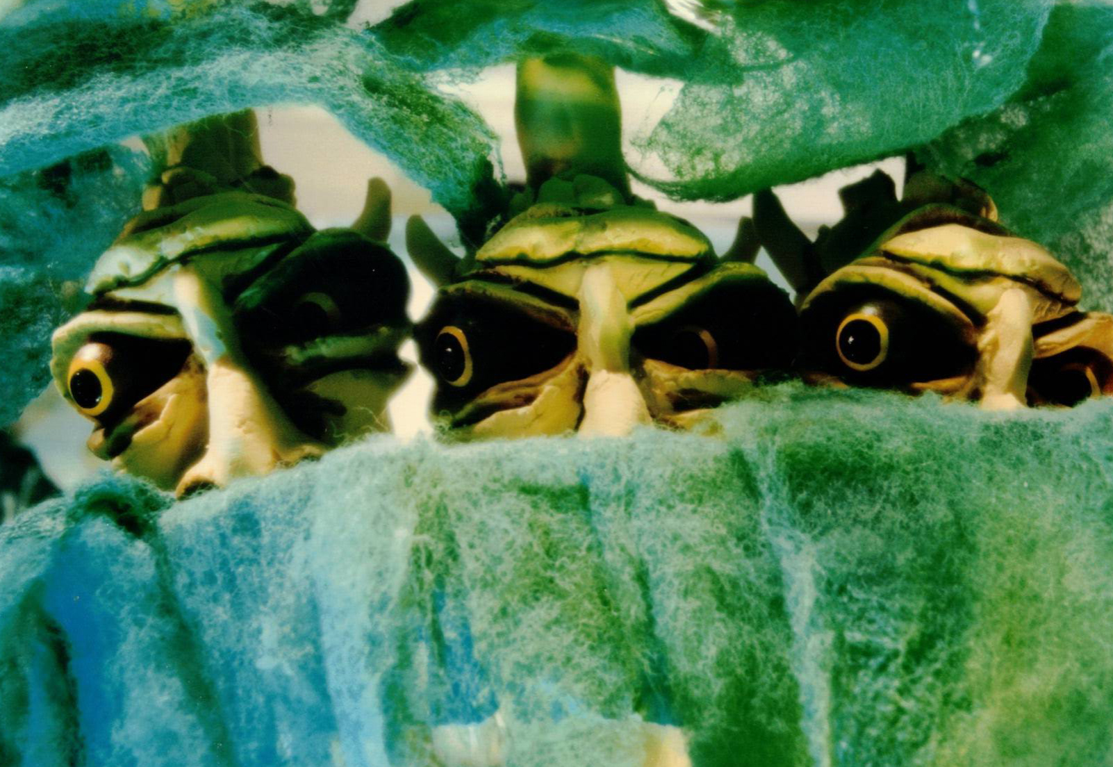 Image du film Captain Scott