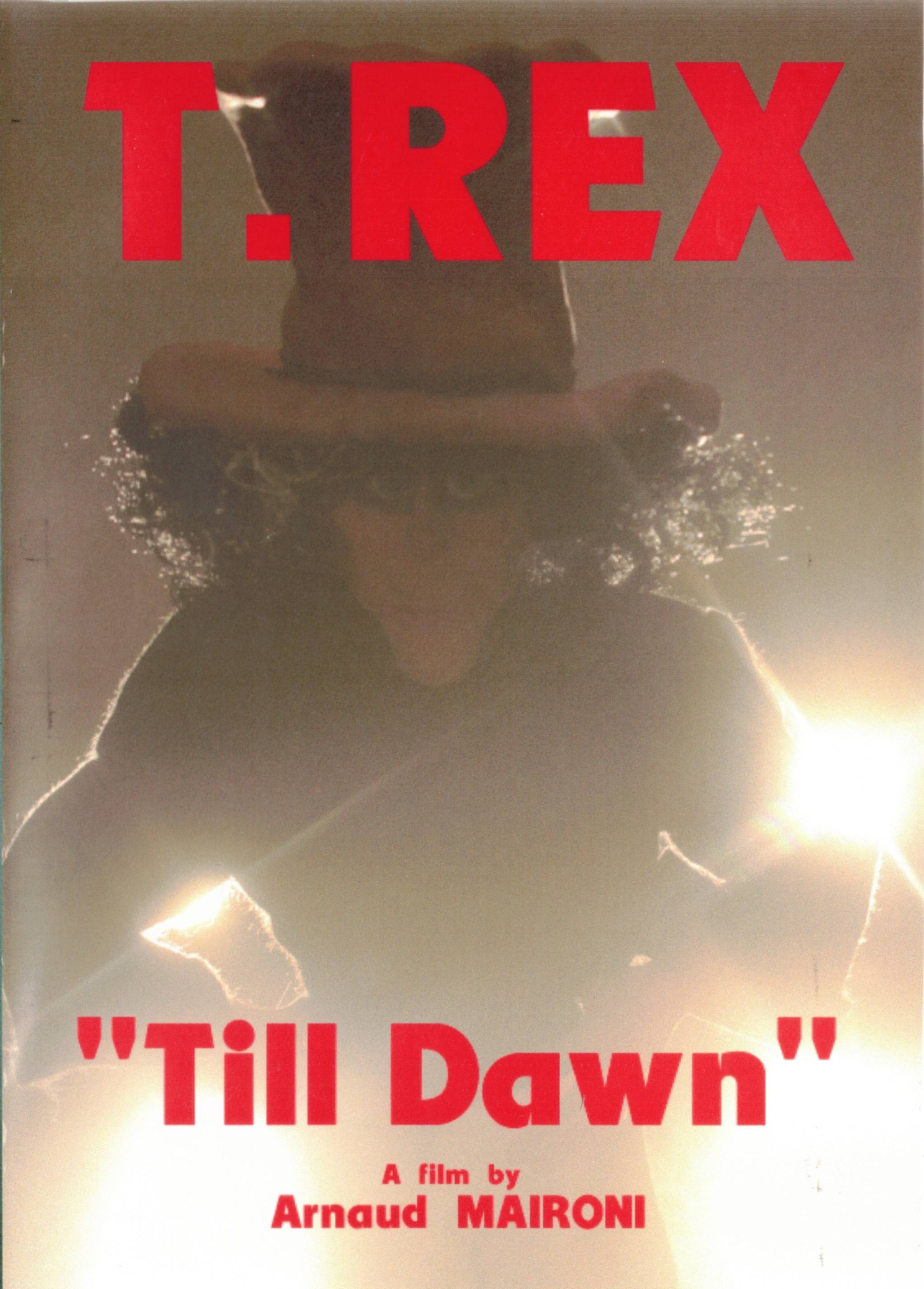 Affiche du film Till Dawn